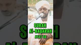 Noreen Muhammad Siddiq BEAUTIFUL Recitation Surat Baqarah sheikhnoreenmuhammadsiddique albaqarah [upl. by Jerol]