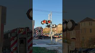 11 car Naperville express train with METX211 pushing Veterans Day 111124 metra [upl. by Anaik]