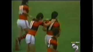 Robertinho campeão brasileiro pelo Flamengo em 1983  BL [upl. by Hoj]