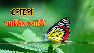 কালজয়ী ছোটগল্প  পেপে  ম্যাক্সিম গোর্কি m4manju অনুবাদ audiobook [upl. by Boorman]