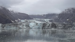 20240925荷美Koningsdam阿拉斯加冰河灣國家公園Glacier Bay巡禮 [upl. by Aleibarg]