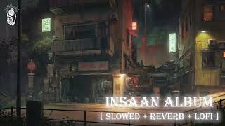 MC STAN  INSAAN ALBUM SLOWED  REVERB  INSAAN  2022   FULL ALBUM  LOFI SKOOL 🔥💔😈 [upl. by Ackley906]