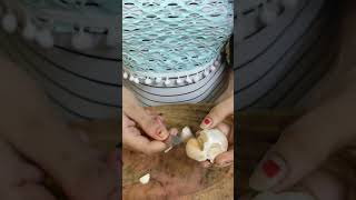 Raw Garlic Peeling Technic Hack  shorts [upl. by Arutek284]