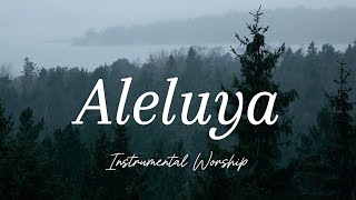 Piano instrumental para orar  Aleluya  Instrumental Worship [upl. by Photima644]