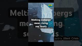 Effects of Melting Icebergs on Earth fyp foryou shorts facts information [upl. by Itnahsa244]