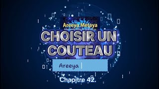 French CHOISIR un couteau  Areeya Metaya Roman spirituel Livre audio [upl. by Funda]