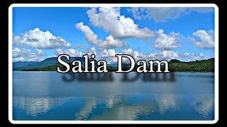 Salia Dam ଶାଳିଆ ଡ୍ୟାମ  in Khordha District Hidden Place In OdishaGUDDYSAMFAMILYVLOG [upl. by Xet]