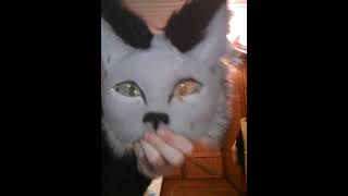 this is my favorite mask Therian dog wolf therian [upl. by Adohr]