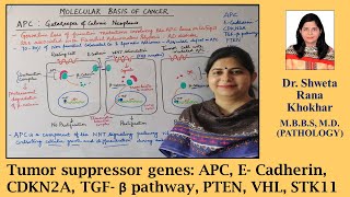 Tumor suppressor genes APC E Cadherin CDKN2A TGF β pathway PTEN VHL STK11  Neoplasia [upl. by Aihsemek35]