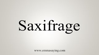 How To Say Saxifrage [upl. by Nnaycart]