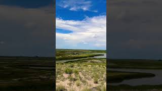 Alamosa National Wildlife Refuge Colorado 🦆 wildlife nature colorado wildlifephotography [upl. by Aihsemot]