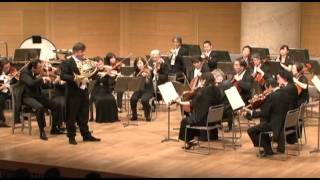 Radek Baborák · WA Mozart  Horn Concerto No 4 · IAllegro moderato [upl. by Tallou528]