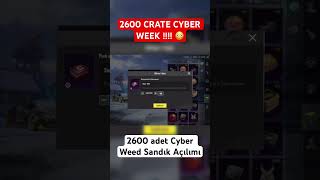 2600 CRATE CYBER WEEK Pubg Mobile 2025 😳  pubg pubgm pubgindia pungmobile pubgmobilemadgala [upl. by Naara]