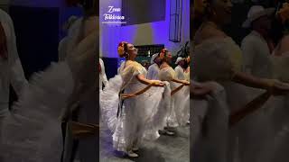 “Zapateado Veracruzano” Ballet Folklorico de San Luis Potosí de Roberto Reyna [upl. by Shien]