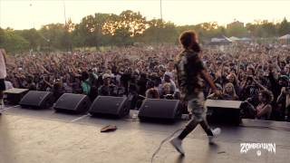 ZOMBiEVision Episode 1 Flatbush Zombies Headline NYC Summerstage 2013 [upl. by Swihart]