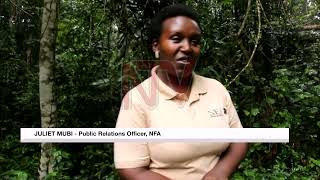 NFA and Bugoma Primate Project launch EcoTourism initiative [upl. by Singband]