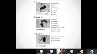 Lecture 14 Bacterial motility 20220302 075856 Meeting Recording [upl. by Nevets]