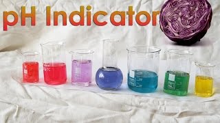 Make your OWN pH Indicator from Red Cabbage [upl. by Rothberg595]