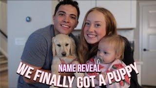 WE GOT A PUPPY NAME REVEAL [upl. by Yelreveb330]