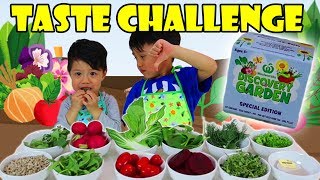 Woolworths Discovery Garden Collectables 2  Taste Challenge [upl. by Ainegue]