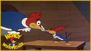 Woody Woodpecker  Fowled Up Falcon  Full Episodes [upl. by Adnylem]