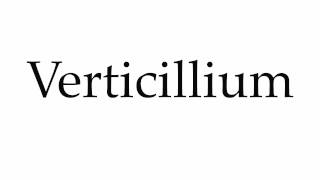 How to Pronounce Verticillium [upl. by Weisler]