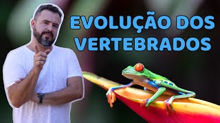 Evolução dos Vertebrados  1ª Parte  Ostracodermos aos Anfíbios [upl. by Ecikram540]