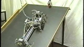 Climbing robot using vacuum suction caps [upl. by Yared668]