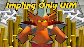 1000000000 GP In Dragon Implings  Impling Only UIM 44 [upl. by Uehttam737]