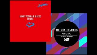 Sonny Fodera Biscits vs Oliver Heldens  Insane vs Gecko Oliver Heldens Mashup Remake [upl. by Laddy771]