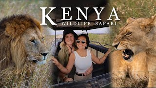 Our LION SAFARI ENCOUNTER The BEST Wildlife Safari in Africa Masai Mara Kenya [upl. by Ajile]