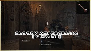 Finding the Bloody Aspergillum For Dunmire  Lords Of The Fallen 2023 [upl. by Nimrac]