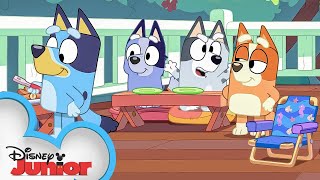 Bluey Season 1 Episode 4 quotBBQquot Episode Clip  disneyjr​  BlueyOfficialChannel​ [upl. by Yecart]