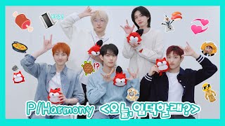 【P1Harmony 피원하모니】 20240229 P1Harmony SOHU KOREA interview 인터뷰（오늘입덕할래 今天，你入坑了吗？） [upl. by Oiram666]