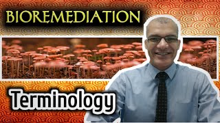 Bioremediation Terminology Crude oil Strategies and Requirements [upl. by Gertruda]