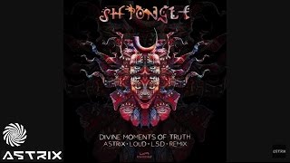 Shpongle  Divine Moments of Truth Astrix LOUD amp LSD Remix sample [upl. by Mercer429]