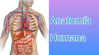 Anatomía Humana y sus sistemasParte 1Enfermeríaenfermería [upl. by Selrahcnhoj396]