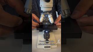 Observing stomata under a microscope 🔬 biology school science education scienceexperiment [upl. by Buyers]