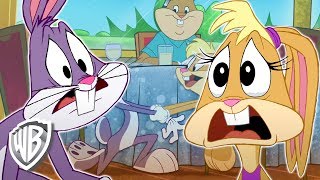 Looney Tunes em Português  Brasil  Pernalonga pediu a Lola em casamento  WB Kids [upl. by Egide]