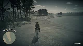 Rdr2  Cats Eye Trinket  Perfect Iguana  Master Hunter 3 [upl. by Yntruoc]