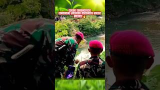 Marinir turun tangan lumpuhkan buaya raksasa komando prajurit marinir tnial abdinegara bravo [upl. by Carmella675]