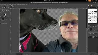 Remove photo backgrounds with GIMP [upl. by Ollecram]