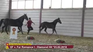 KN 39 HF von For Romance I  Diamond Hit [upl. by Suirad]