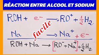 ALCOOL RÉACTION [upl. by Oicam]