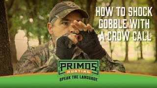 How to Make a Turkey Gobble with a Crow Call [upl. by Enilra]