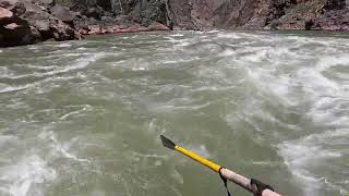 Grand Canyon 2024 07 16 Day 7  Horn Creek Rapid [upl. by Rahas]