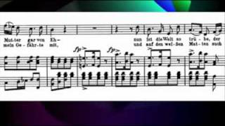 Schubert  Winterreise Gute nacht Padmore Lewisflv [upl. by Danila]