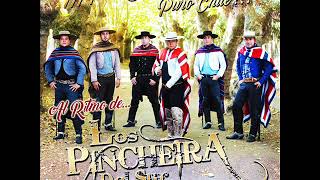 Mix Ft Los 7 Machos  Los Pincheira del Sur [upl. by Dnomso]