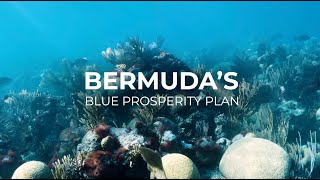 Bermudas Blue Prosperity Plan [upl. by Remle]