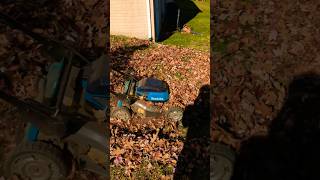 Makita 36v Mower vs Leaves makita leaves [upl. by Sayce]